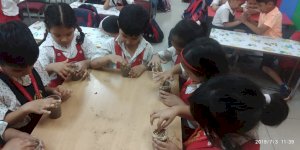 showing-the-seeds-activity-of-grade-ukg-2019-2020