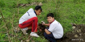 tree-plantation-activity-of-aurumites-2019-2020