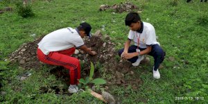 tree-plantation-activity-of-aurumites-2019-2020