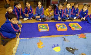 sorting-water-animal-activity-grade-pre-nursery-2019-2020