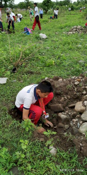 tree-plantation-activity-of-aurumites-2019-2020