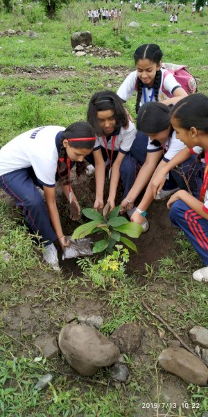 tree-plantation-activity-of-aurumites-2019-2020