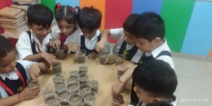 showing-the-seeds-activity-of-grade-ukg-2019-2020