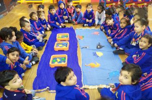 sorting-water-animal-activity-grade-pre-nursery-2019-2020