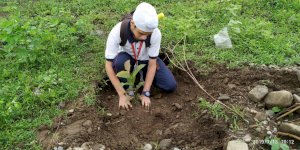 tree-plantation-activity-of-aurumites-2019-2020