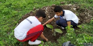 tree-plantation-activity-of-aurumites-2019-2020