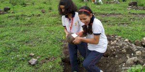 tree-plantation-activity-of-aurumites-2019-2020