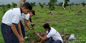 tree-plantation-activity-of-aurumites-2019-2020