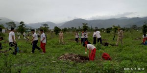 tree-plantation-activity-of-aurumites-2019-2020