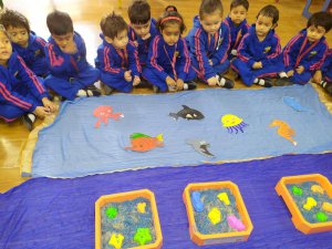 sorting-water-animal-activity-grade-pre-nursery-2019-2020