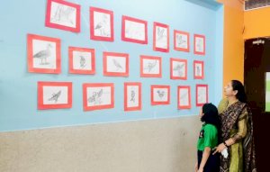 patterns-of-migratory-birds-20252026