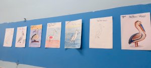 patterns-of-migratory-birds-20252026